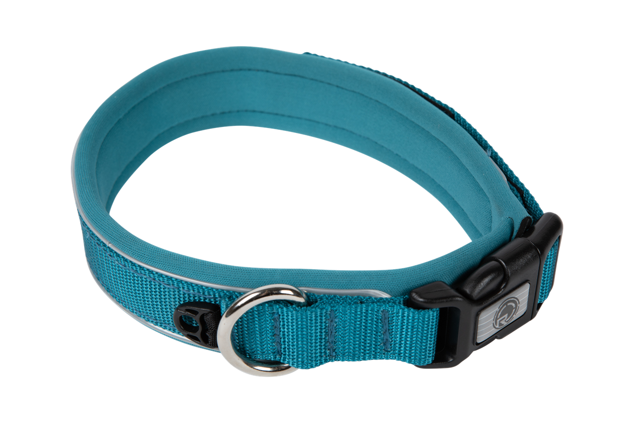 Dog Collar - 15"-17.5" - M - Blue