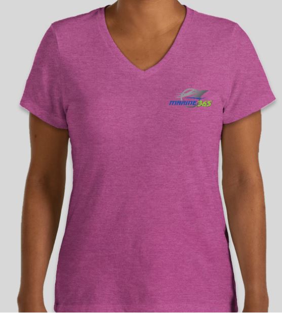 Women's Perfect Blend T Shirt